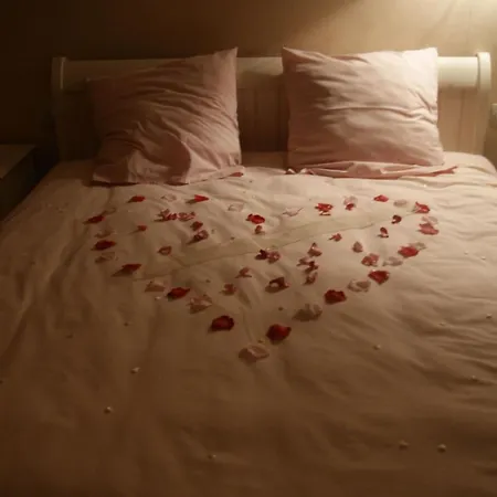 El Tyu 3* Écaussinnes-dʼEnghien