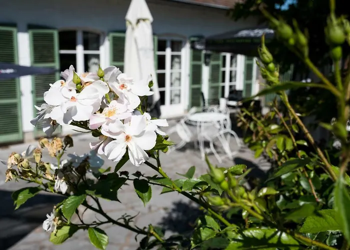 El Tyu Écaussinnes-dʼEnghien